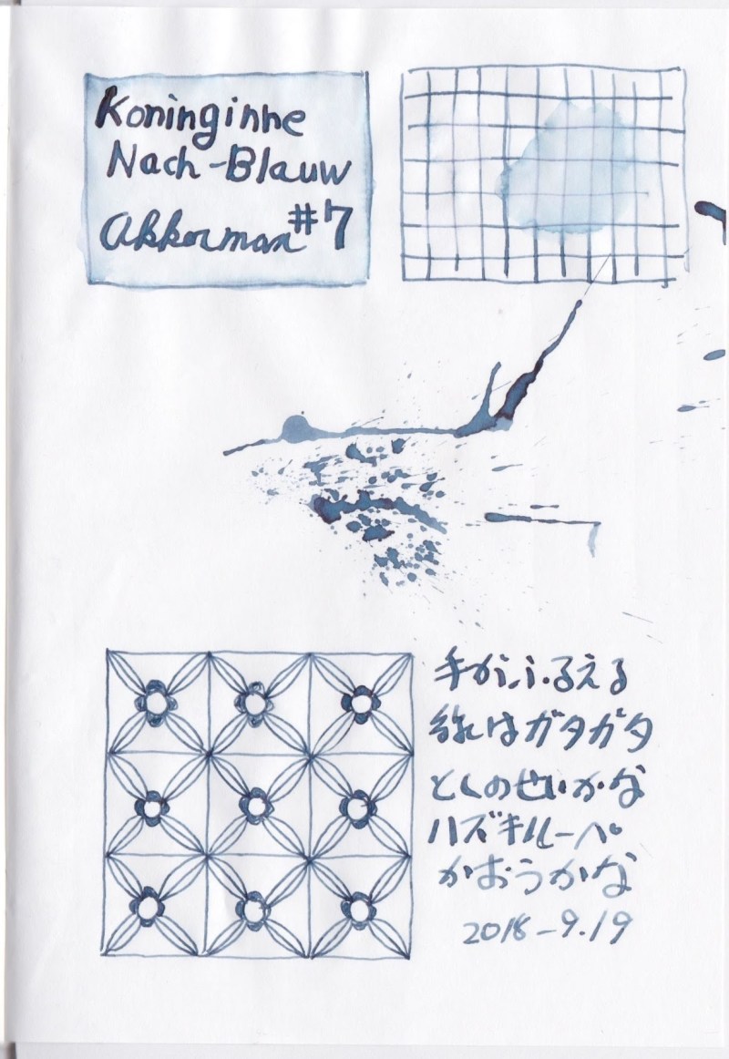 Akkerman #7 KoninginneNach-Blauw　