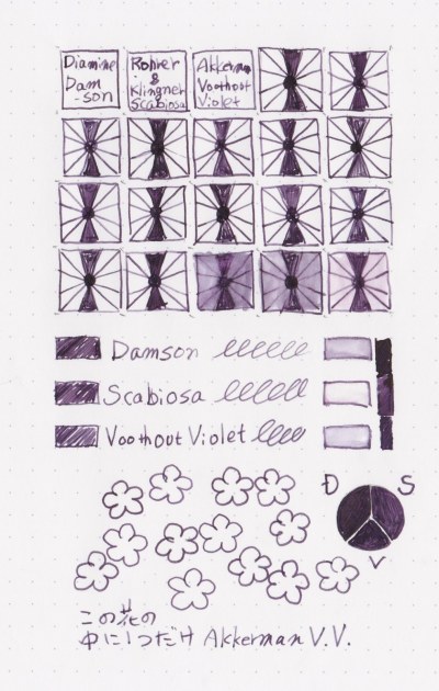 Damson Scabiosa Voorhout Violet